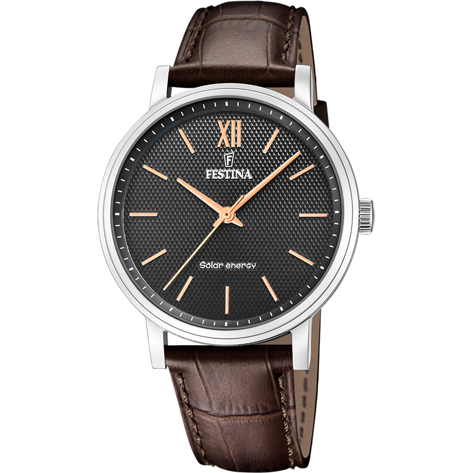 Festina Solar Energy Men's Brown Watch